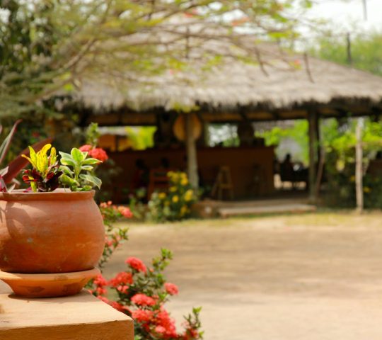 Barbara’s Highlife Village