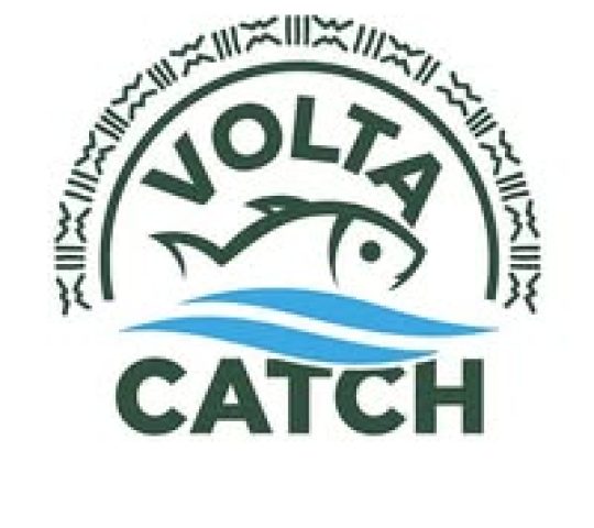 Volta Catch Tilapia Kasoa