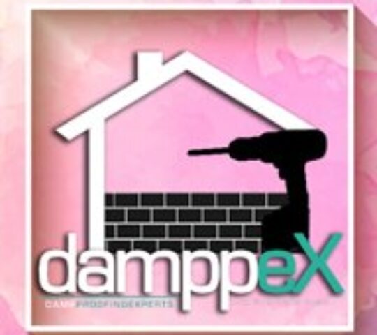 Damp Proofing Experts