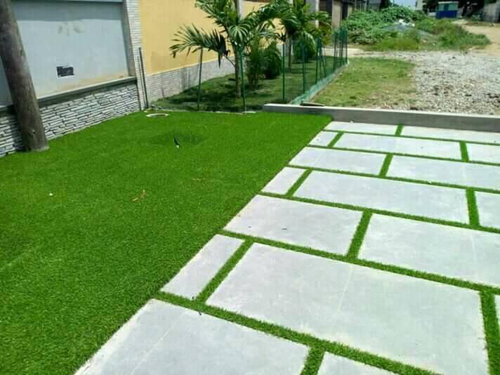 Homemax Garden Expert Homemax Garden Expert