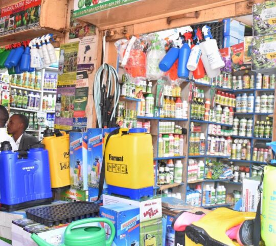 Aggiebon’s Supermarket